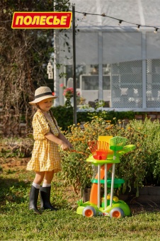 Набор садовый (в пакете) арт.54548