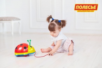 Божья коровка (в сеточке) арт.7888