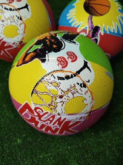 Баскетбольный мяч, арт. QSG1804